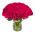 kytice růžových růží